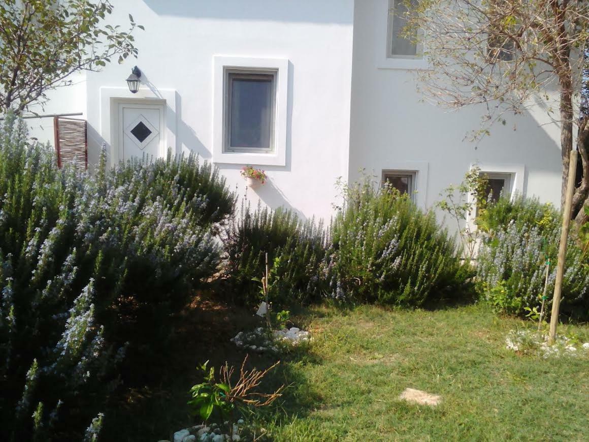 סילבה Apartments Lovor מראה חיצוני תמונה