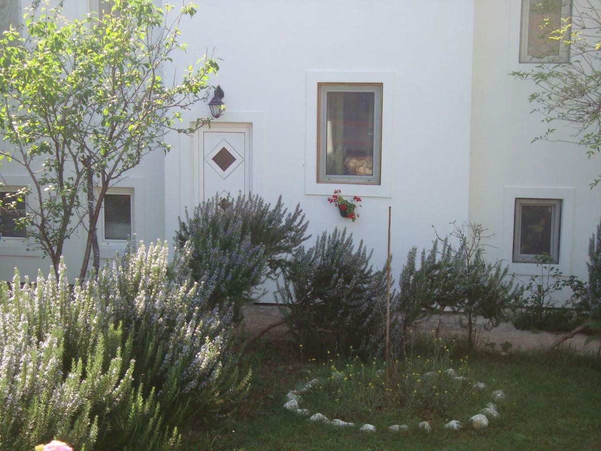 סילבה Apartments Lovor מראה חיצוני תמונה