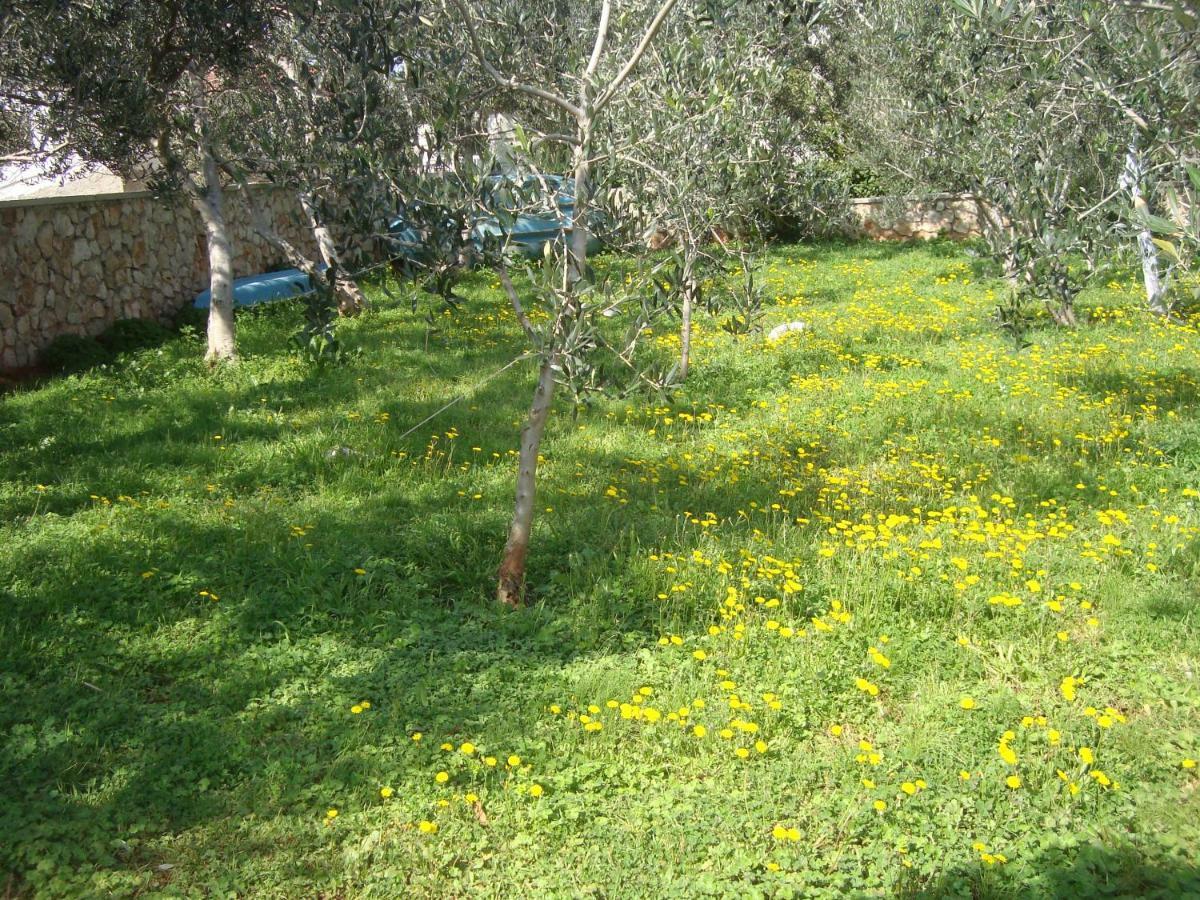 סילבה Apartments Lovor מראה חיצוני תמונה
