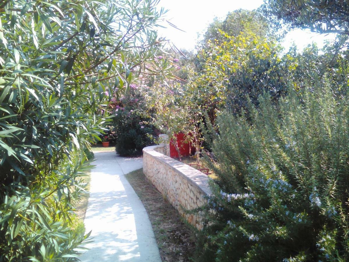 סילבה Apartments Lovor מראה חיצוני תמונה